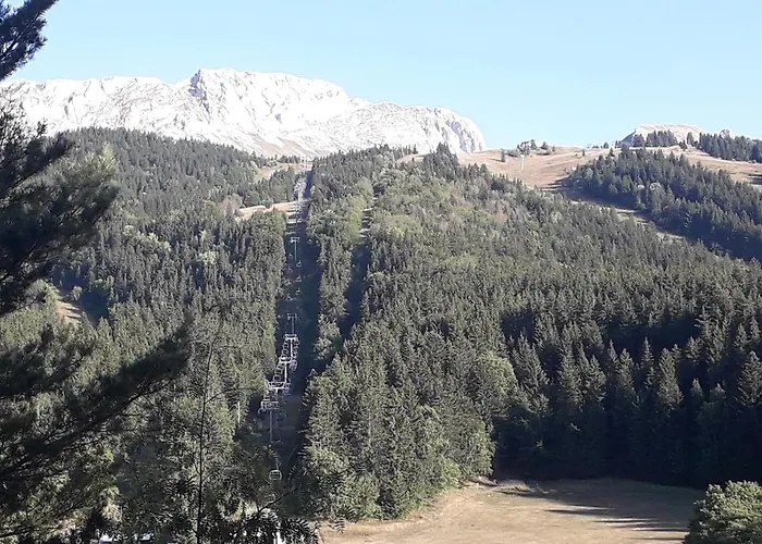 Joli Petit Studio A Villard De Lans